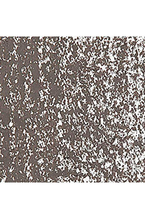 Caran d'Ache Neopastel Yumuşak Yağlı Pastel Raw Umber 049