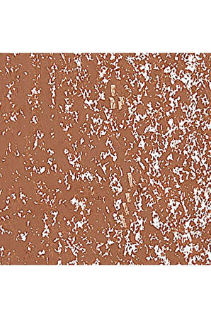 Caran d'Ache Neopastel Yumuşak Yağlı Pastel Cinnamon 055