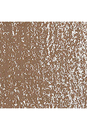 Caran d'Ache Neopastel Yumuşak Yağlı Pastel Brown 059