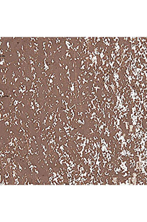 Caran d'Ache Neopastel Yumuşak Yağlı Pastel Mahogany 067