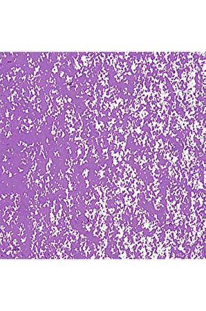 Caran d'Ache Neopastel Yumuşak Yağlı Pastel Mauve 111