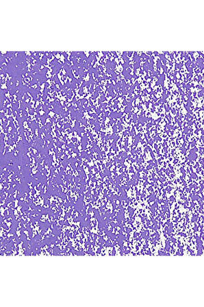 Caran d'Ache Neopastel Yumuşak Yağlı Pastel Periwinkle Blue 131