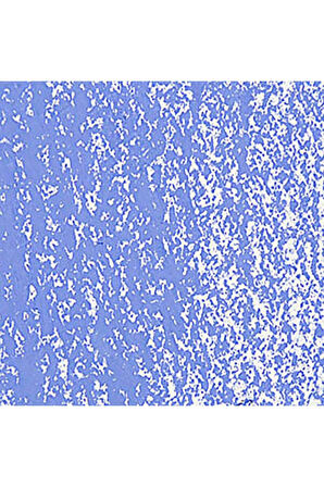 Caran d'Ache Neopastel Yumuşak Yağlı Pastel Sky Blue 141