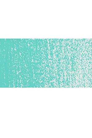 Caran d'Ache Neopastel Yumuşak Yağlı Pastel Turquoise Green 191