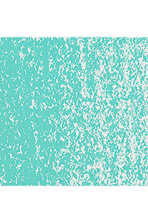 Caran d'Ache Neopastel Yumuşak Yağlı Pastel Turquoise Green 191