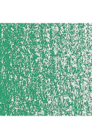 Caran d'Ache Neopastel Yumuşak Yağlı Pastel Greyish Green 215