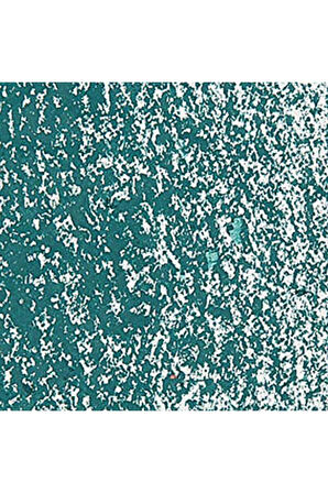 Caran d'Ache Neopastel Yumuşak Yağlı Pastel Dark Green 229