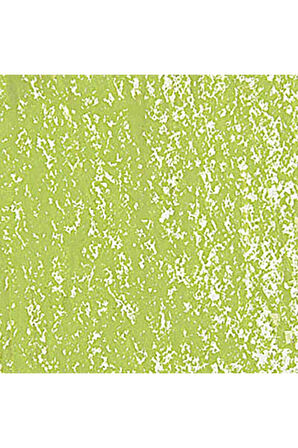 Caran d'Ache Neopastel Yumuşak Yağlı Pastel Light Olive 245