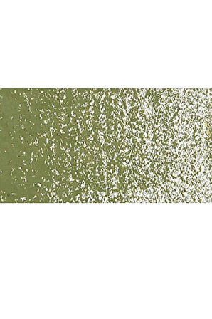 Caran d'Ache Neopastel Yumuşak Yağlı Pastel Olive 249