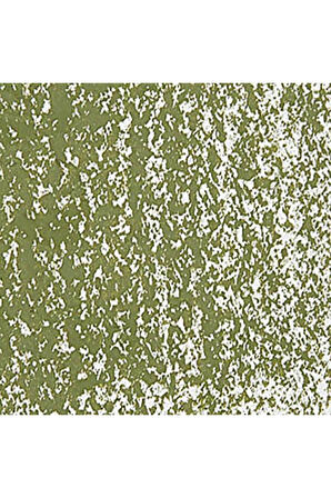 Caran d'Ache Neopastel Yumuşak Yağlı Pastel Olive 249