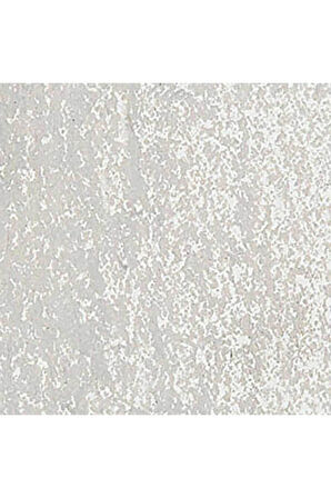 Caran d'Ache Neopastel Yumuşak Yağlı Pastel Light Beige 402