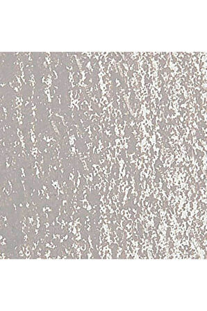 Caran d'Ache Neopastel Yumuşak Yağlı Pastel Beige 403