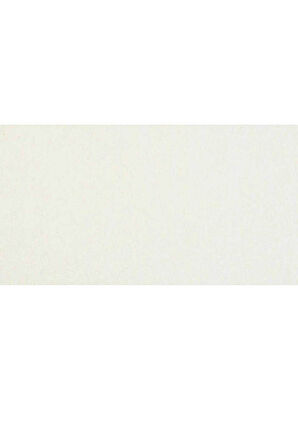 Caran d'Ache Neopastel Yumuşak Yağlı Pastel Cream 491