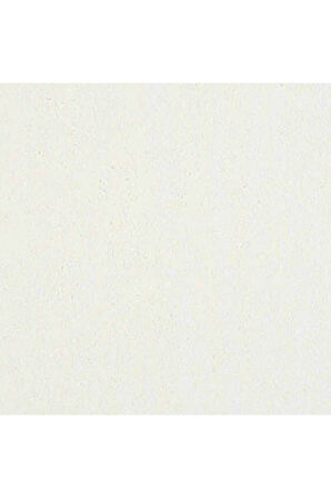 Caran d'Ache Neopastel Yumuşak Yağlı Pastel Cream 491