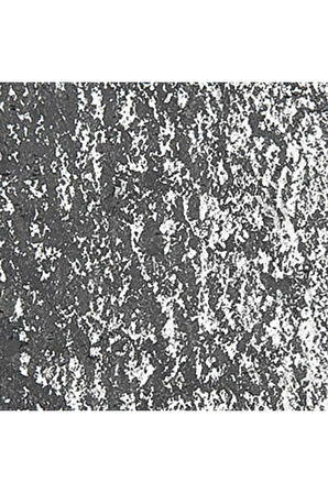 Caran d'Ache Neopastel Yumuşak Yağlı Pastel Slate Grey 495