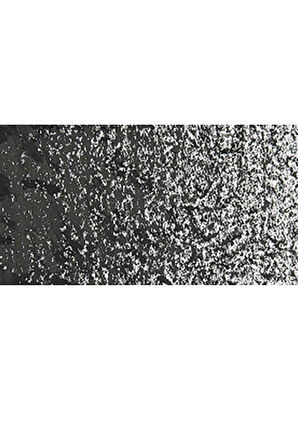 Caran d'Ache Neopastel Yumuşak Yağlı Pastel Ivory Black 496