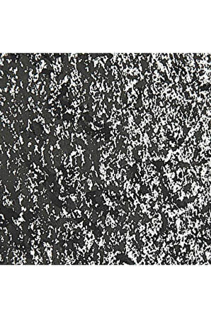Caran d'Ache Neopastel Yumuşak Yağlı Pastel Ivory Black 496