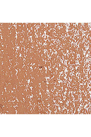 Caran d'Ache Neopastel Yumuşak Yağlı Pastel Bronze 497
