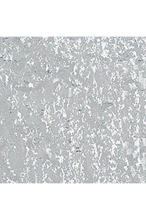 Caran d'Ache Neopastel Yumuşak Yağlı Pastel Silver 498