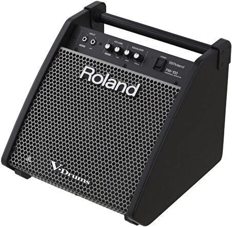 ROLAND PM-100 - 80 Watt Davul Monitörü