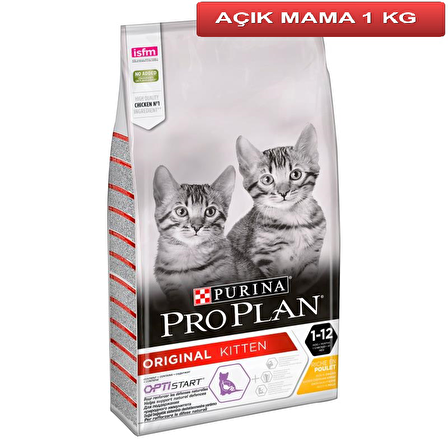 Proplan Kitten Yavru Kedi Maması 1 Kg AÇIK