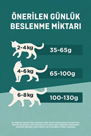 Purina One Yavru Kedi Maması Somon & Havuç 85g