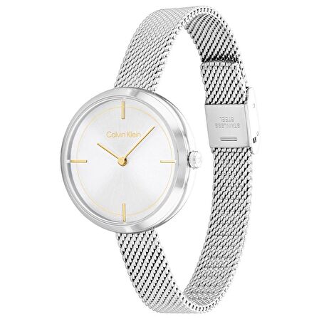 Calvin Klein CK25200184 Kadın Kol Saati