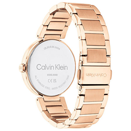 Calvin Klein CK25200253 Kadın Kol Saati