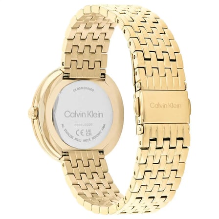 Calvin Klein CK25200321 Kadın Kol Saati