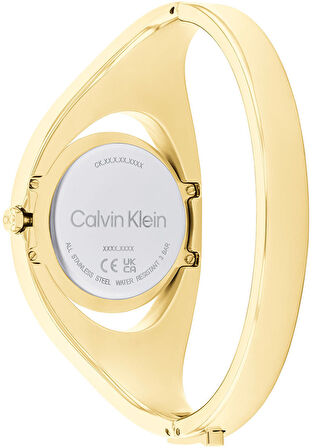 Calvin Klein CK25200391 Kadın Kol Saati