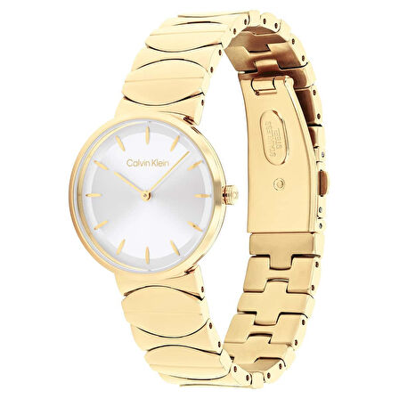 Calvin Klein CK25100043 Kadın Kol Saati