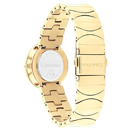 Calvin Klein CK25100043 Kadın Kol Saati