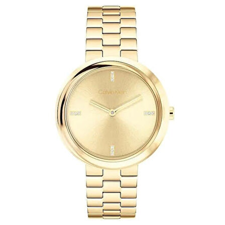 Calvin Klein CK25100094 Kadın Kol Saati