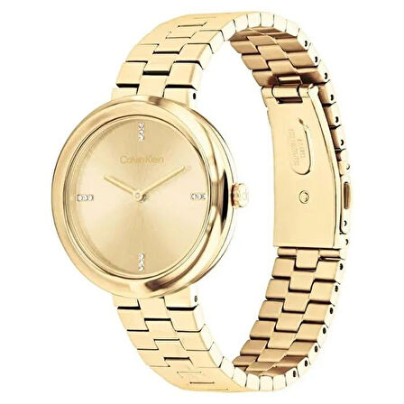 Calvin Klein CK25100094 Kadın Kol Saati