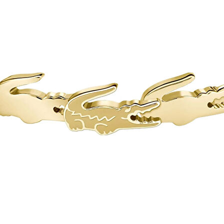 Lacoste LACJ2040518 Kadın Küpe