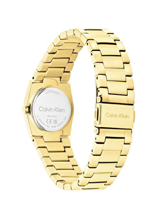 Calvin Klein CK25100127  Kadın Kol Saati