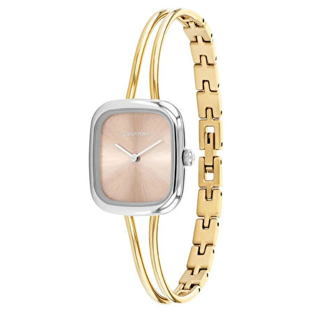 Calvin Klein Ck25100134 Kadın Kol Saati