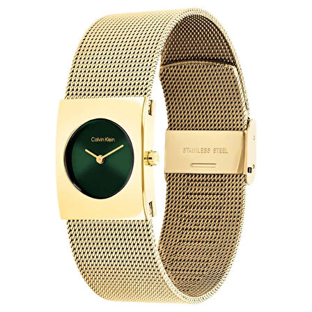 Calvin Klein CK25100136  Kadın Kol Saati
