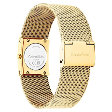 Calvin Klein CK25100136  Kadın Kol Saati