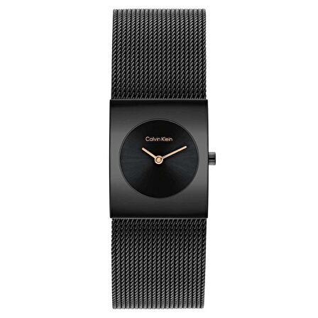 Calvin Klein CK25100138 Kadın Kol Saati 