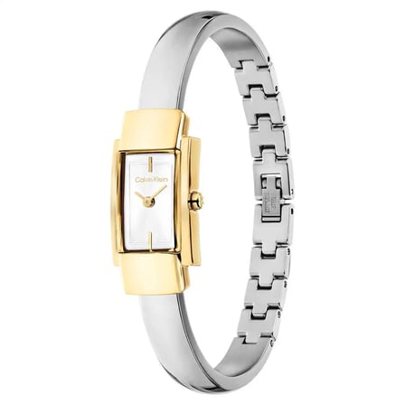 Calvin Klein CK25100238 Kadın Kol Saati