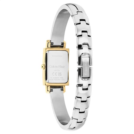 Calvin Klein CK25100238 Kadın Kol Saati