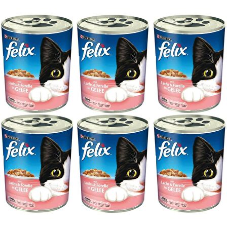  Felix Somon -Alabalıklı Kedi Konservesi 400 Gr*6 Adet