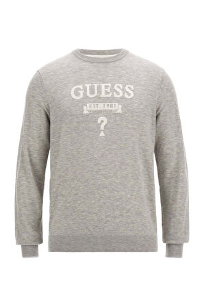 Erkek Grafik Baskılı Bisiklet Yakalı Triko Kazak - Gri | S