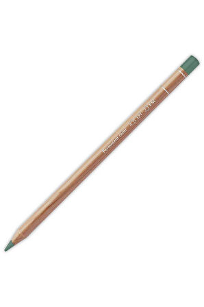Caran d'Ache Luminance 6901 Dark Sap Green 739