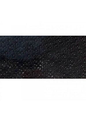 Caran d'Ache Pastel Kalem Black 009
