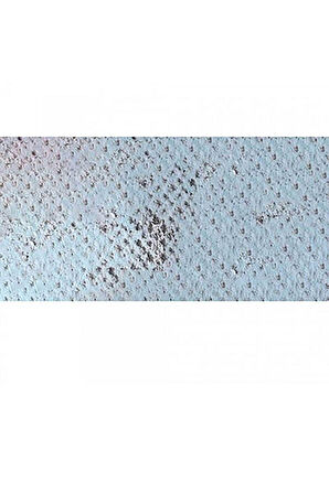 Caran d'Ache Pastel Kalem Silver Grey 002