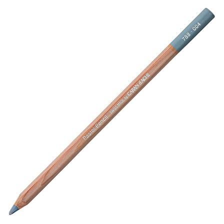 Caran d'Ache Pastel Kalem Steel Grey 004