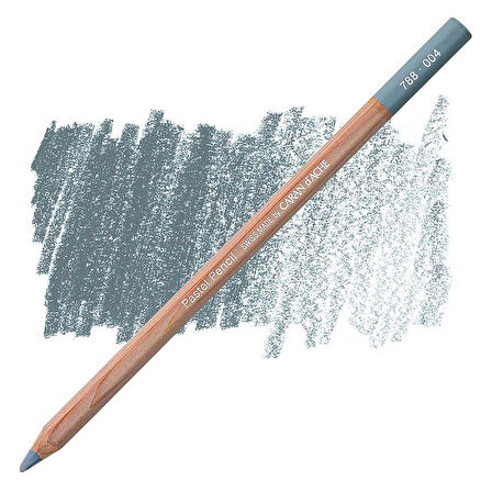 Caran d'Ache Pastel Kalem Steel Grey 004