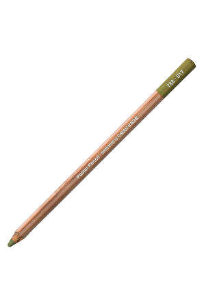 Caran d'Ache Pastel Kalem Light Reseda 017